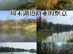-绿堤公园