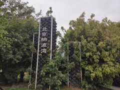 -亚龙湾国际玫瑰谷