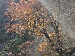 -黑龙潭风景区
