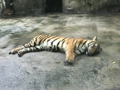 -南昌动物园