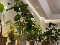 -fishtank鱼缸咖啡(三山街店)