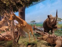 -国家自然博物馆