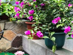 -外婆船宴餐厅·外婆喊你回家吃饭