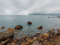 -西涌国际滨海旅游区