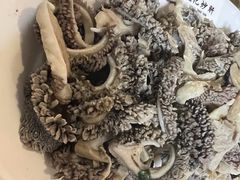 -姚记炒肝店(鼓楼店)