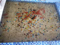 -雅逸居海鲜小厨