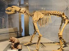 -北京周口店北京人遗址博物馆