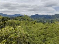 -陶祖圣境风景区
