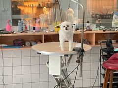 -猫狗日记·自助洗护·宠物寄养·售卖