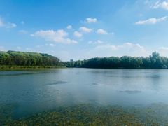 -昆山城市生态森林公园