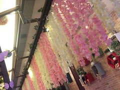 -杯子红牛排(南庄吉利广场店)