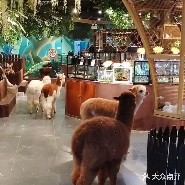 六一带娃去喂小动物吧／团单很优惠哦!