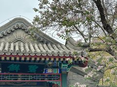 -京味小馆老北京炸酱面