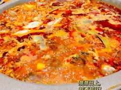 -石锅苗苗鱼(武汉首店)