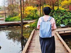 -云溪植物园