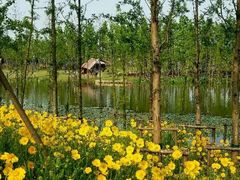 -上海长兴岛郊野公园