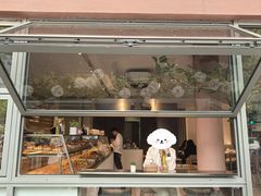 -WHEN PIGS FLY当猪飞