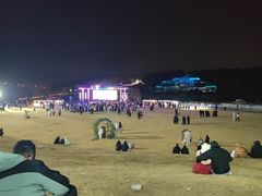 -大塘金香草谷