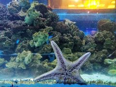 -北国之春国宴(乌兰察布店)