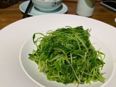 李家洋榨菜炒豆苗-老宁波1381餐厅(宏泰广场店)