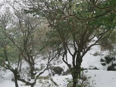 -萍乡武功山风景名胜区