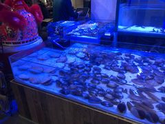 -十六蒲(桂林路店)