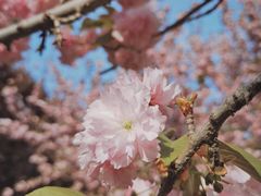 -咸阳湖景区-古渡公园