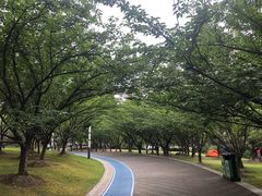 -苏州河梦清园环保主题公园