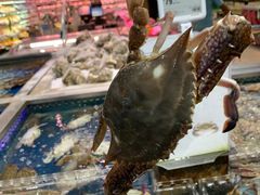-盒马鲜生(红莲店)