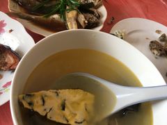-南汇老顾农家乐采摘大团水蜜桃采摘店