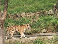 -杭州野生动物世界