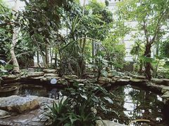 -南山植物园