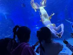 -顺德南宏海立方海洋公园