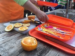 -前小桔亲子创意农场·草莓采摘·露营烧烤