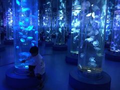 -梦幻海洋王国(吾悦广场张家港店)