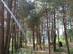 -重庆睡佛山森林公园