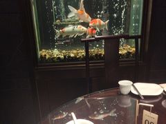 -浩运·海鲜青岛菜·海胆水饺(石老人店)
