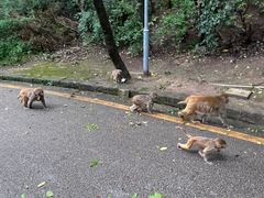 -黔灵山公园