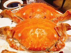 -舟山希尔顿酒店·開自助餐厅