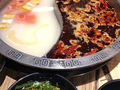 -销魂美蛙鱼头火锅(上海首店)