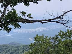 -紫金山山顶公园