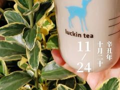 工夫生椰乳茶-瑞幸咖啡(深圳红山6979店)