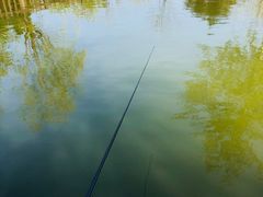 -酷鱼垂钓CLUB(朝阳区博大路店 )