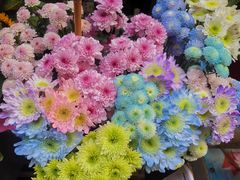 -循礼门鲜花花市(武汉循礼门店)