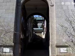 -武汉大学-樱园