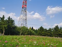 -羊亭河湿地公园