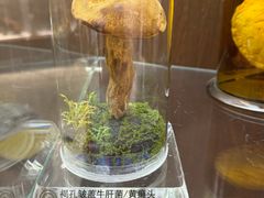 -广州神农草堂中医药博物馆