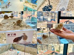 -怪兽屋·羊驼·猫咖·狗咖(俊华广场店)