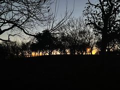 -塘沽森林公园