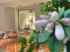 -洪小鹏生活美学馆(领SHOW天地店)